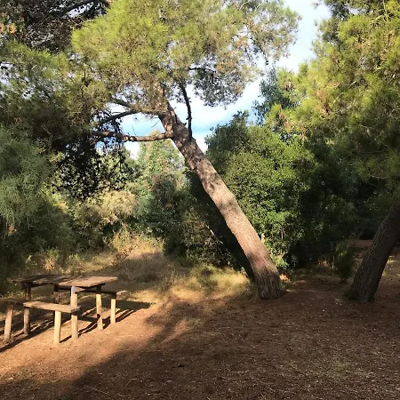 Vento Etrusco *