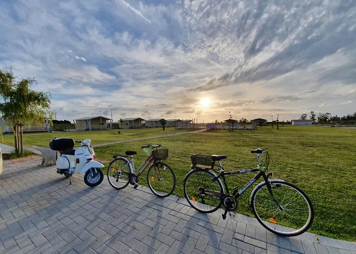 Vento Etrusco ريوتورتو